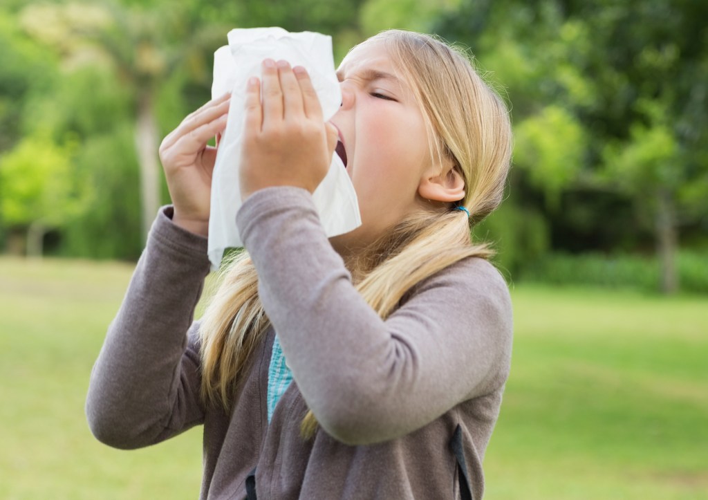 At NYC, spring begins the tree pollen season, followed by grass pollen during the summer and pollen of weeds in late summer and autumn. Here, a little girl sneezing in a tissue.